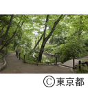 新宿区立おとめ山公園