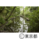 新宿区立おとめ山公園