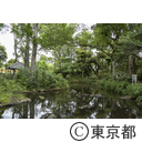 新宿区立おとめ山公園