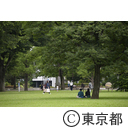 武蔵国分寺公園