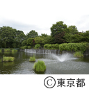 武蔵国分寺公園