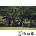 夕やけ小やけふれあいの里芝生広場