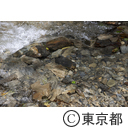 夕やけ小やけふれあいの里・北浅川