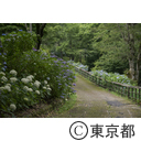 夕やけ小やけふれあいの里