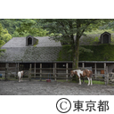 夕やけ小やけふれあいの里・ふれあい牧場
