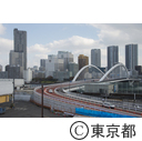 旧築地市場解体作業