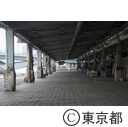 旧築地市場解体作業
