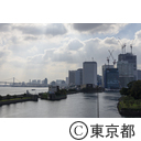 旧築地市場解体