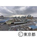 旧築地市場解体