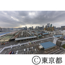 旧築地市場解体
