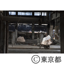 旧築地市場解体