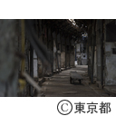 旧築地市場解体