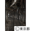旧築地市場解体