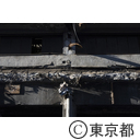 旧築地市場解体