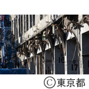 旧築地市場解体