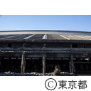 旧築地市場解体