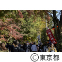 深大寺の紅葉