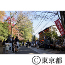 深大寺の紅葉