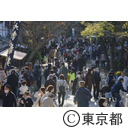 深大寺の紅葉