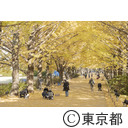 昭和記念公園の紅葉