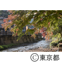 高尾山の紅葉