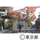 高尾山の紅葉