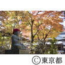 高尾山の紅葉