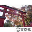 高尾山の紅葉