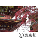 高幡不動尊の紅葉