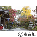 高幡不動尊の紅葉