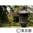 庭園美術館紅葉