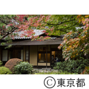 庭園美術館の紅葉