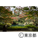 庭園美術館の紅葉