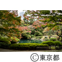 庭園美術館の紅葉