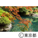 庭園美術館の紅葉