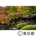 庭園美術館の紅葉