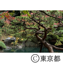 庭園美術館