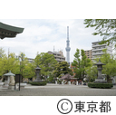 横網町公園からのスカイツリー