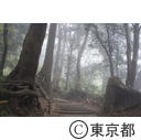 霧の高尾山