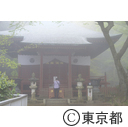 霧の高尾山