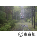 霧の高尾山