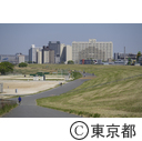 荒川土手