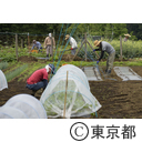 農場で作業する研修生