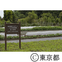 研修農場
