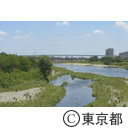 多摩川