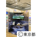 5G映像体験実証事業 「都庁で渓流釣り