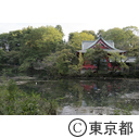 井の頭池