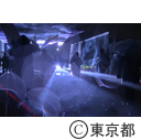 光の祭典「Tokyo Lights」プロジェクションマッピング国際大会・レーザーイルミネーション
