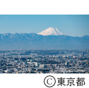 都庁展望室からの富士山
