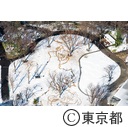 都庁展望室からの雪の新宿中央公園